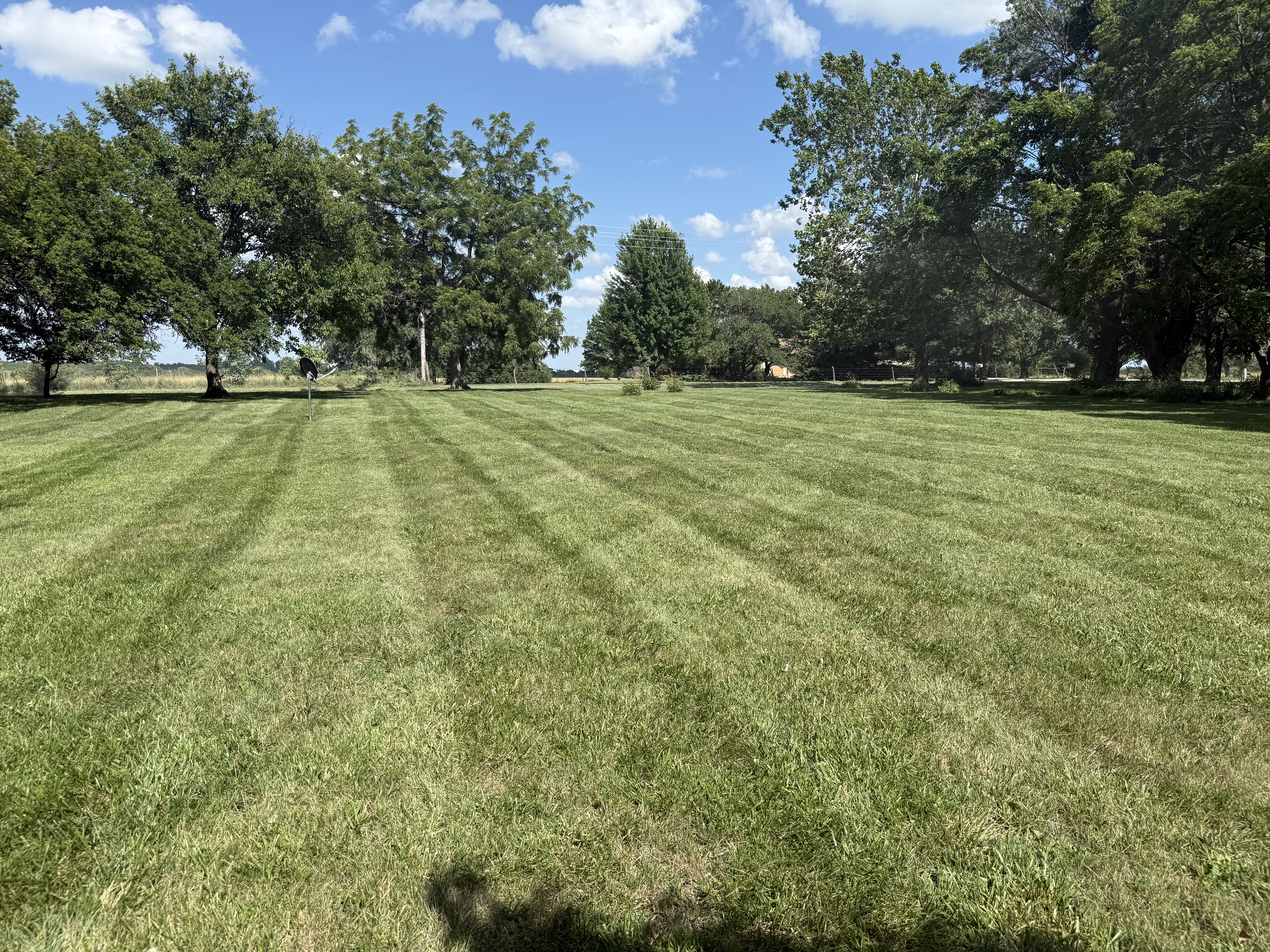 Finished lawn example 4
